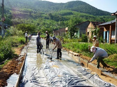 Consensus needed to develop new rural areas in Binh Dinh - ảnh 1